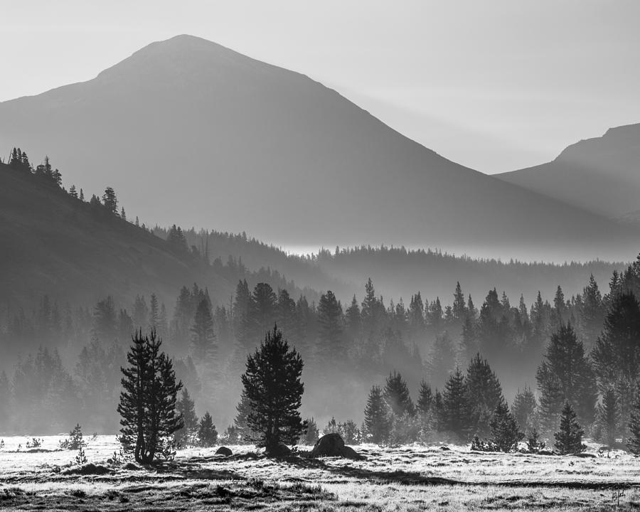Sunrise Tuolumne Meadow Photograph by Anthony Michael Bonafede