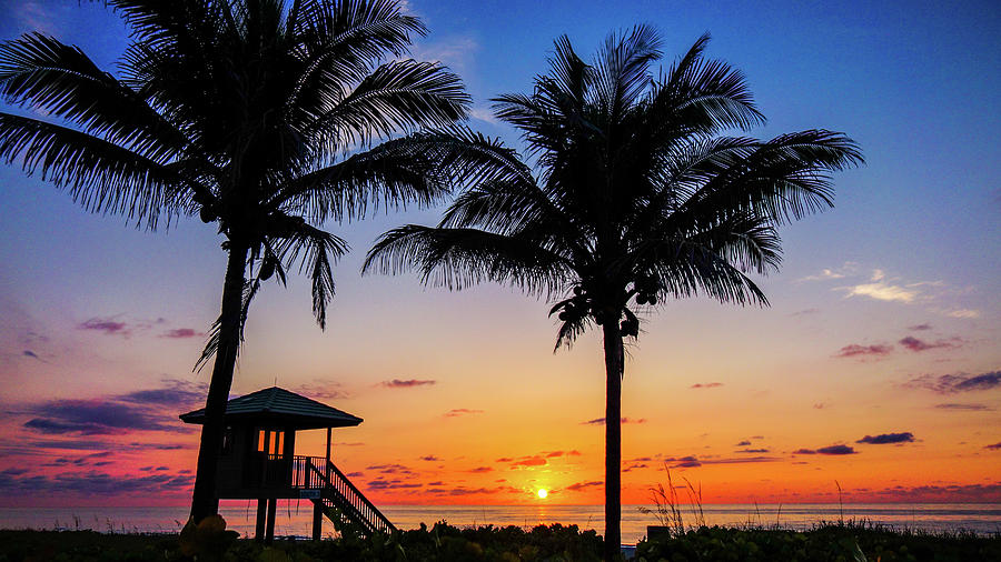 Sunrise Two Palms Delray Beach Florida Photograph by Lawrence S Richardson Jr