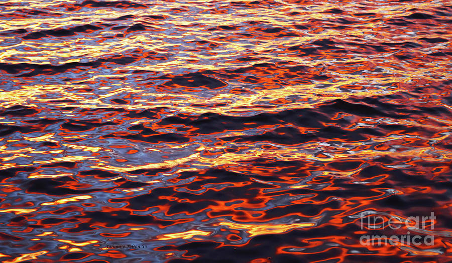 Sunrise water detail Photograph by Julianne Felton