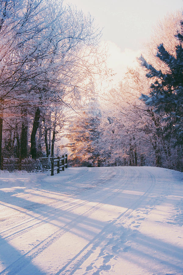 Winter Photograph - Sunrise Winter Wonderland by Parker Cunningham
