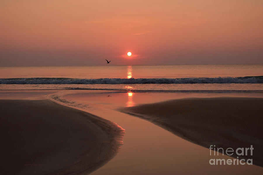Sunrise with bird 6-14-16 Photograph by Julianne Felton