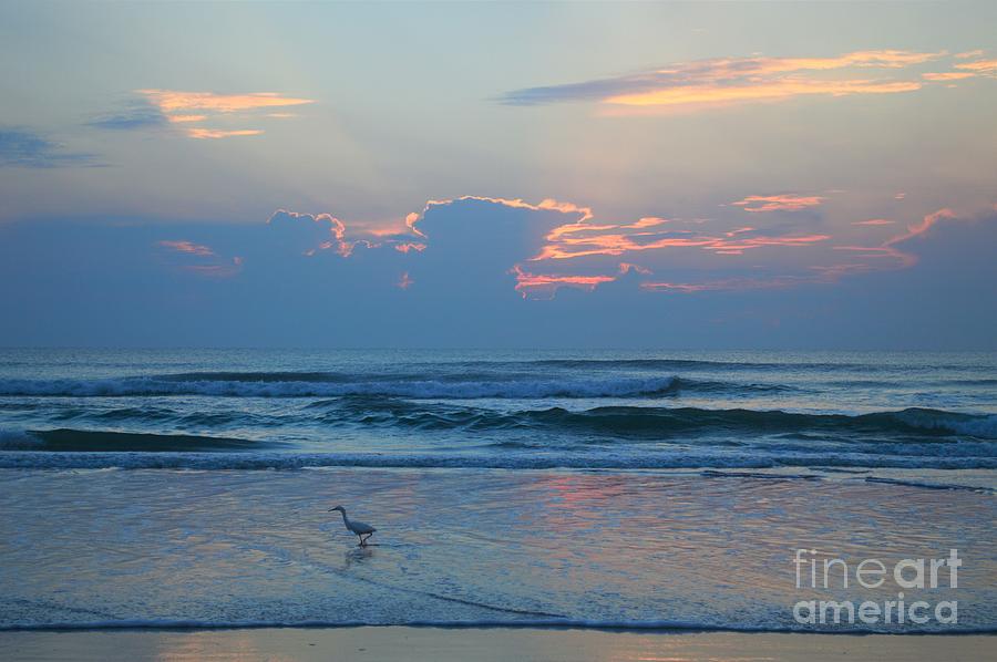 Sunrise with bird Photograph by Julianne Felton