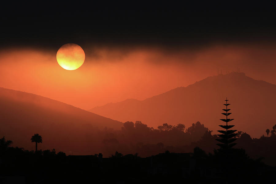 Sunrise with Coastal Fog Photograph by Robin Street-Morris