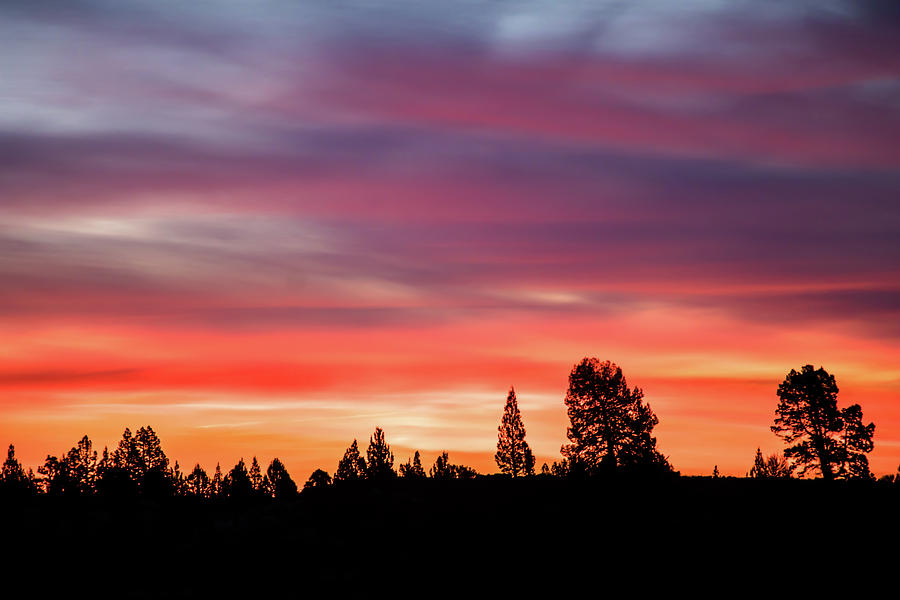 Sunrise with Trees Photograph by Randy Robbins - Fine Art America