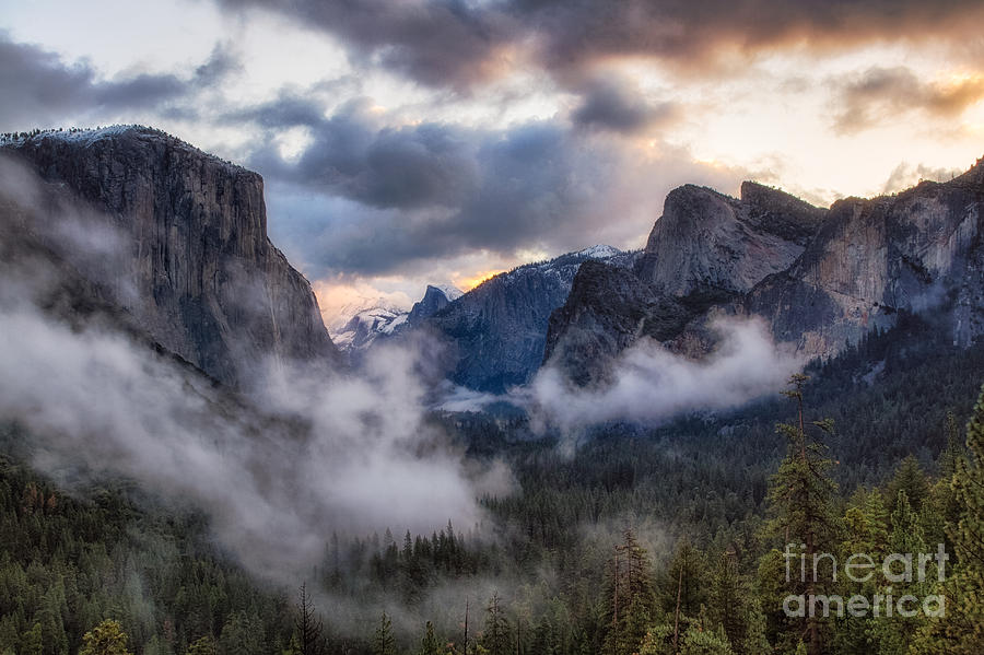 Sunrise Yosemite  Photograph by Anthony Michael Bonafede