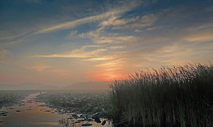 Sunrise Through the Fog Photograph by Robert Mitchell