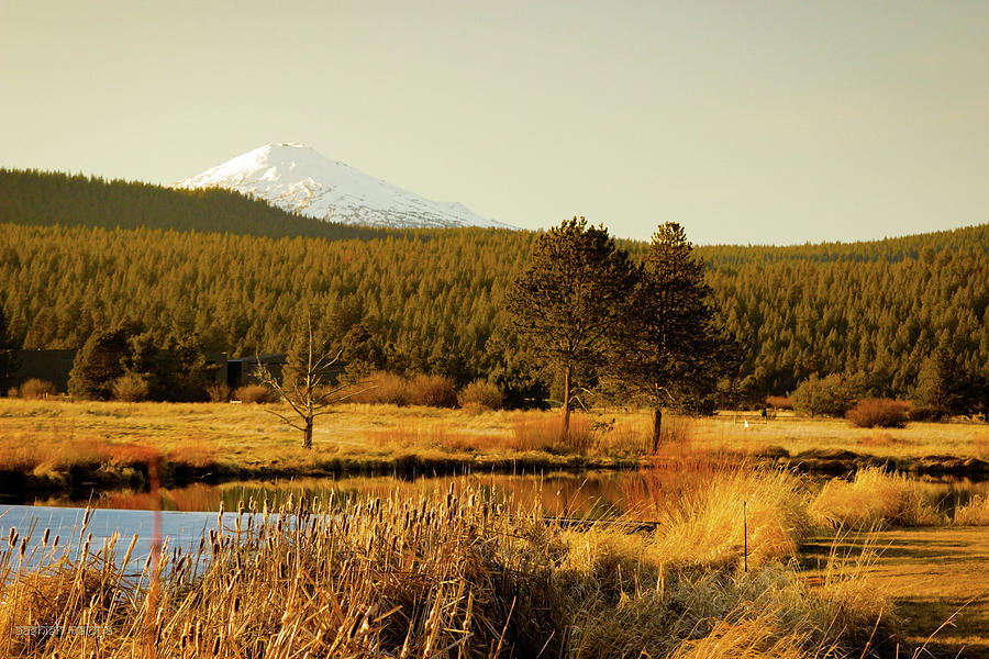 Sunriver, Central Oregon Photograph by Aashish Vaidya