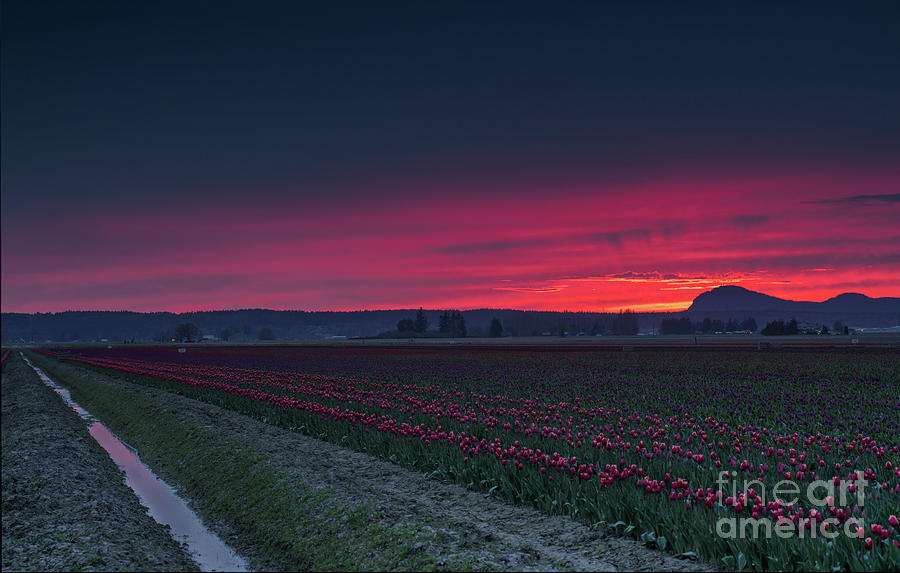 Suns Burning Conclusion in Skagit Photograph by Mike Reid