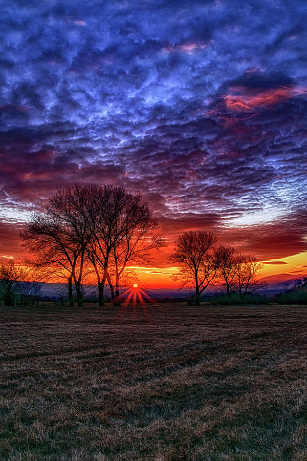 Sunset 14.02 Photograph by Plamen Petkov