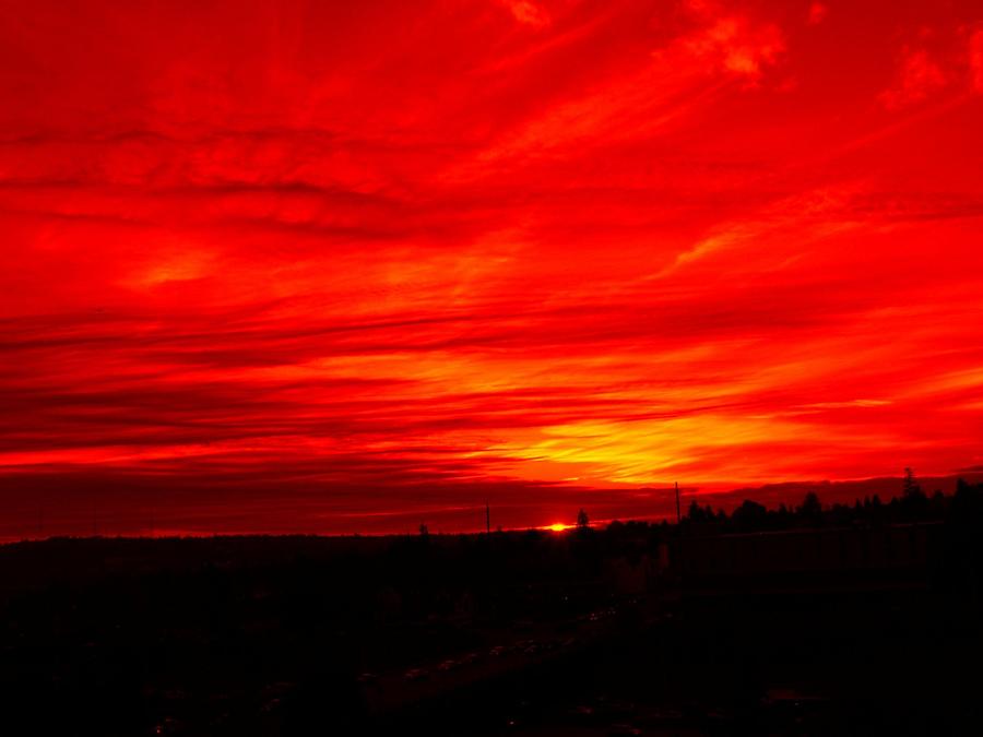 Sunset 2 Digital Art by Tim Allen