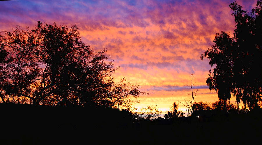 Sunset 6 Photograph by M Diane Bonaparte