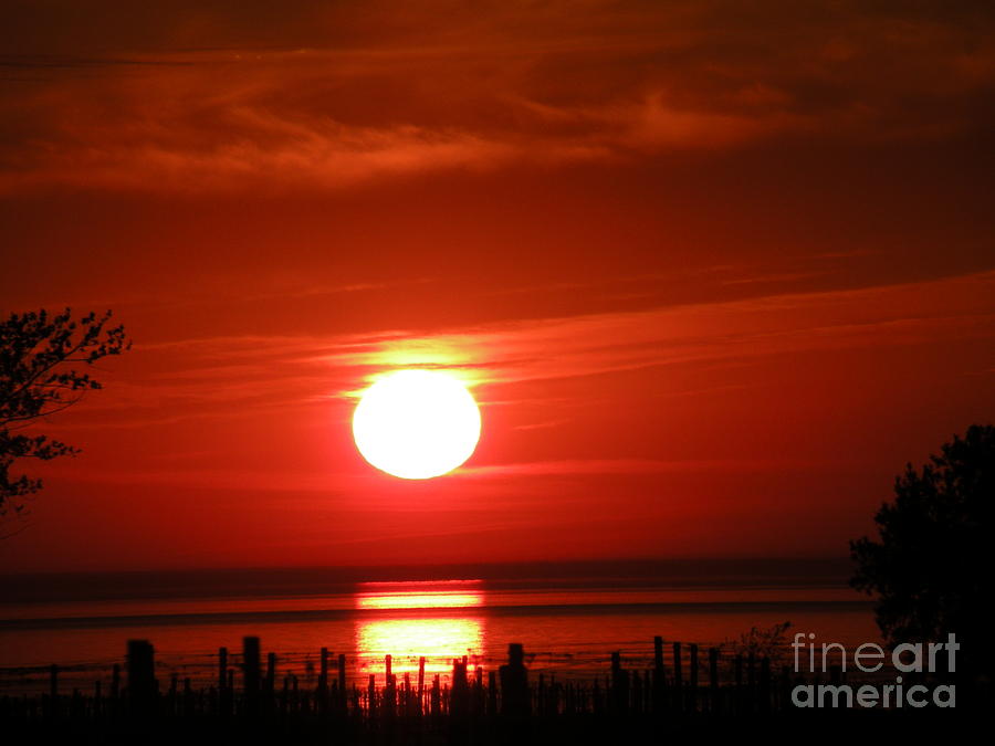 Sunset Across The Vineyard by Joanne Young Sunset Across The Vineyard by Joanne Young