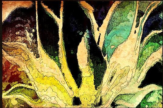 Agave Mixed Media - Sunset Agave by Donna Williams