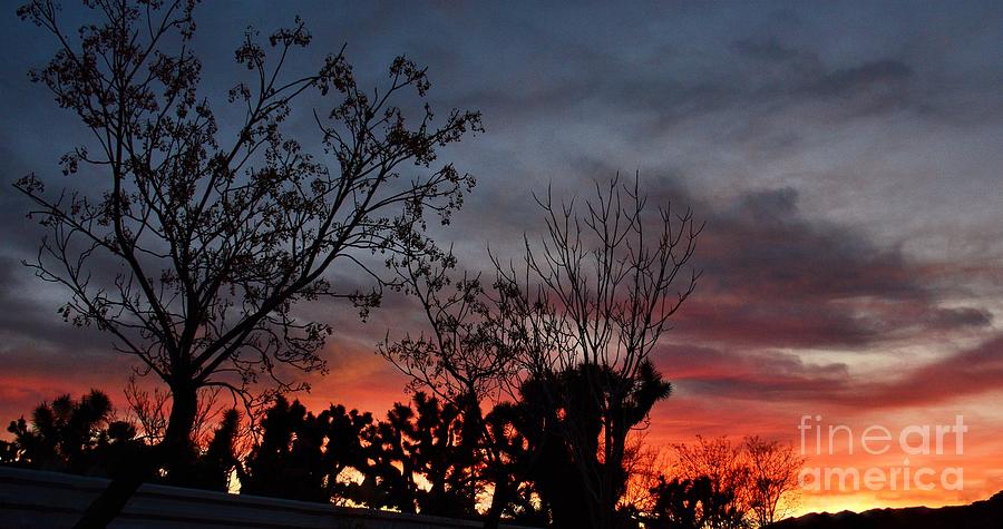 Sunset Along The Fenceline Photograph by Angela J Wright