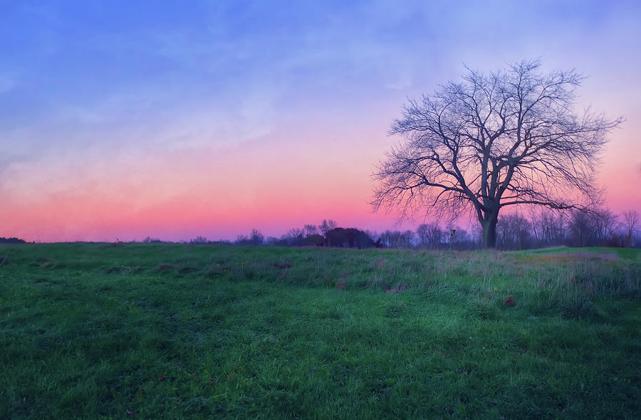 Sunset and Lone Tree at Aztalan State Park  Photograph by Jennifer Rondinelli Reilly - Fine Art Photography