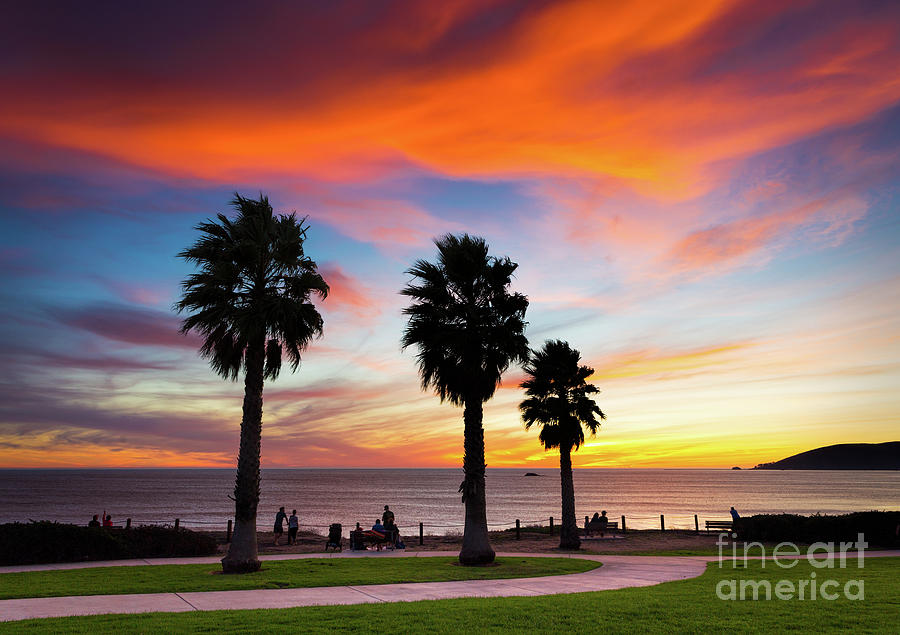 Sunset and Palms Photograph by Mimi Ditchie