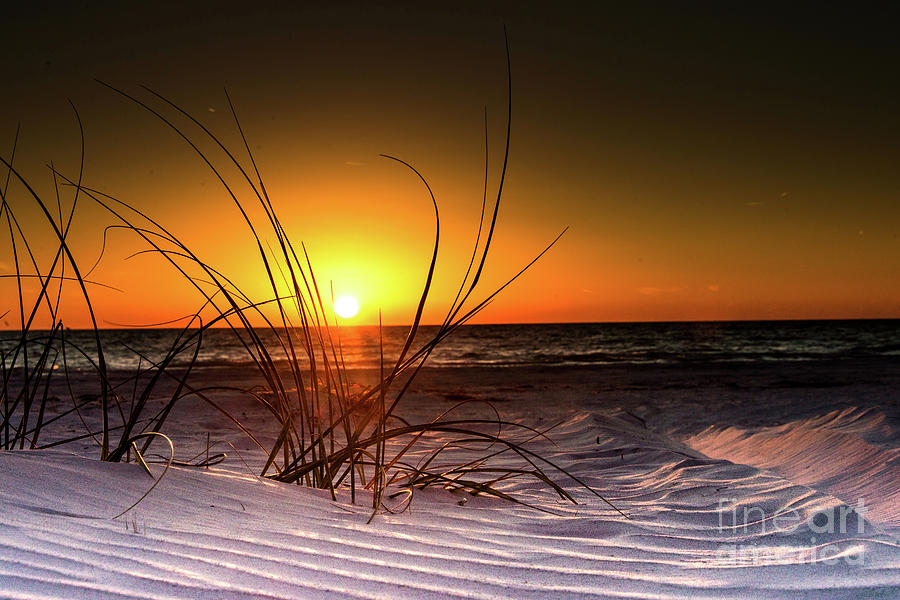 Sunset And Sand On The Beach Photograph By Yuliya Gallimore Fine Art