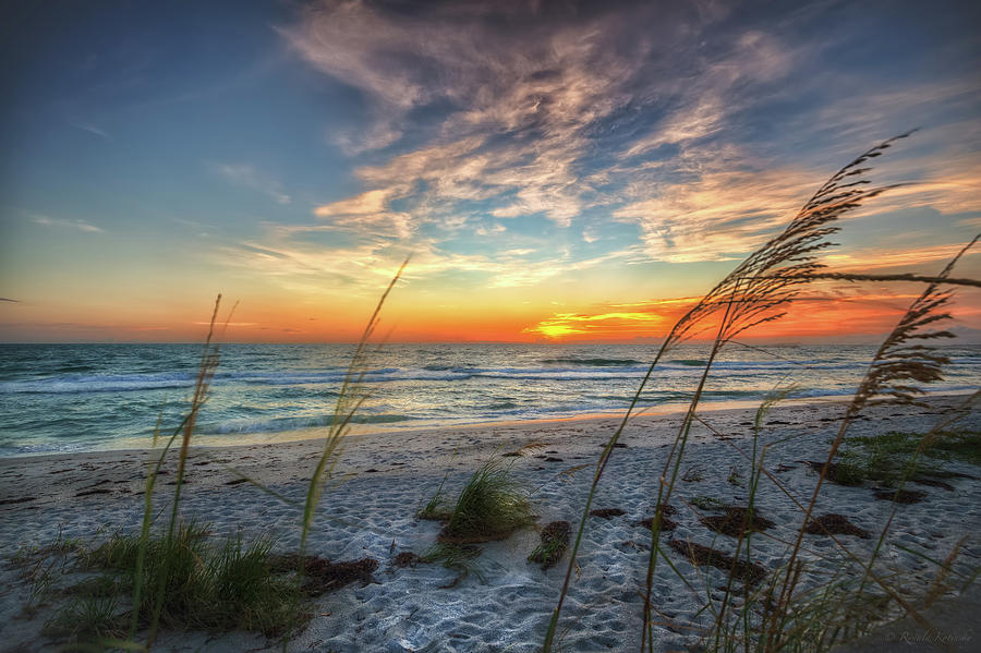 Sunset and Sea Oats Photograph by Ronald Kotinsky - Pixels