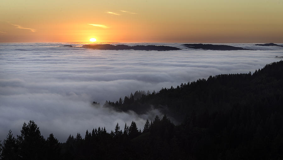 Sunset and the fog  Photograph by Janet  Kopper