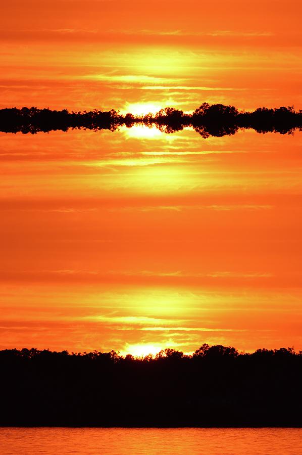 Sunset And Trees Digital Art by Lyle Crump