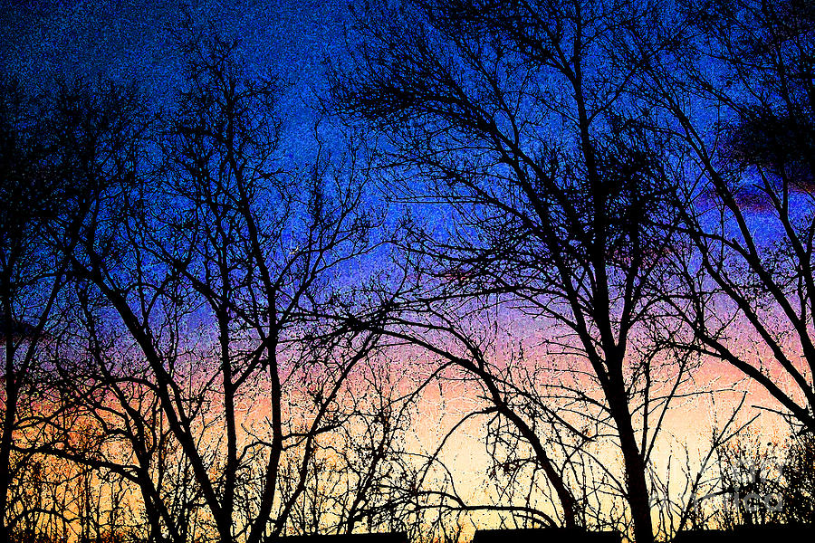 Sunset and Winter Trees Photograph by Karen Adams