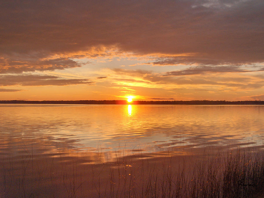 Sunset Photograph by Andrea Lawrence - Fine Art America