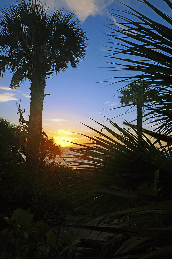Sunset at Bearefoot Beach in Naples by Robb Stan Sunset at Bearefoot Beach in Naples by Robb Stan