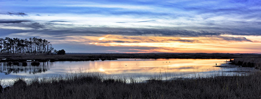 Sunset at Blackwater National Wildlife Refuge - Eastern Shore Photograph by Brendan Reals