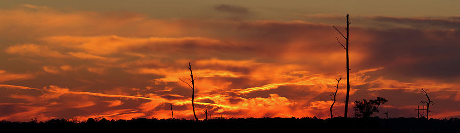 Sunset at Blackwater National Wildlife Refuge Photograph by Jack Nevitt