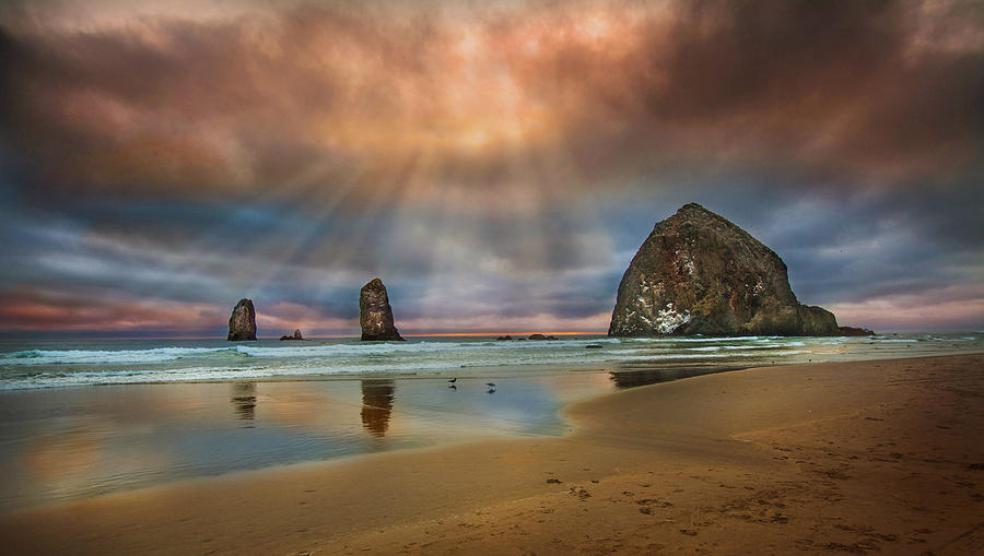 Sunset at Cannon Beach by David Brookwell Sunset at Cannon Beach by David Brookwell