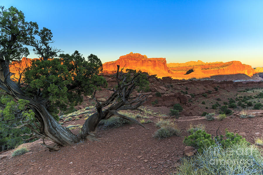 Sunset at Capitol Reef 2 Photograph by Ben Graham