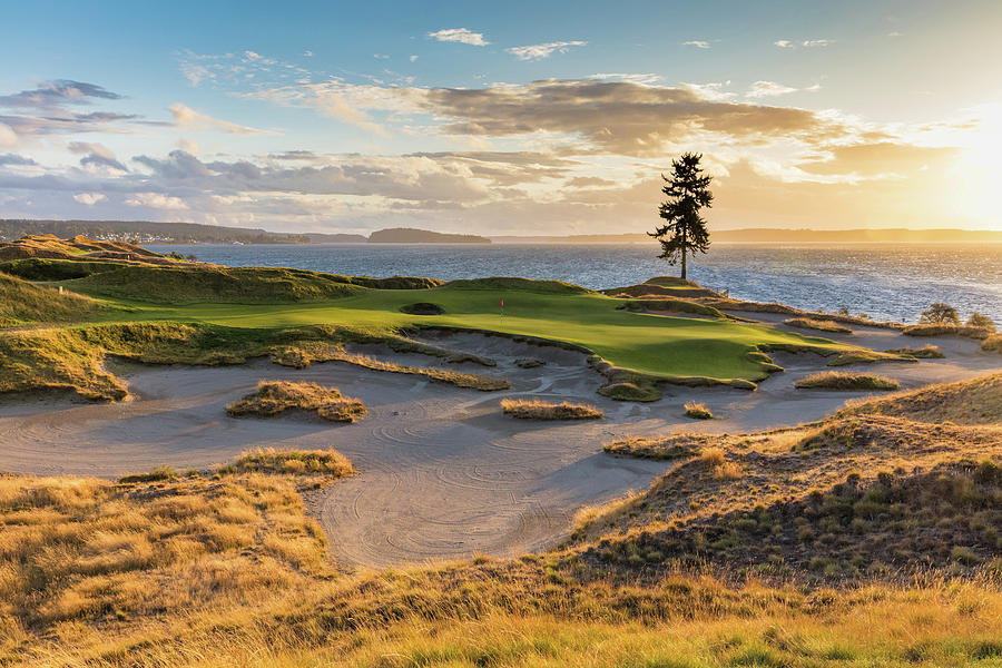Sunset at Chambers Bay Golf Course Photograph by Mike Centioli