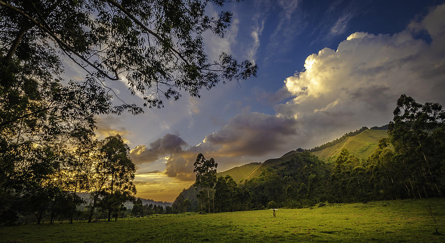 Sunset Photograph - Sunset at Cocora by Francisco Gomez