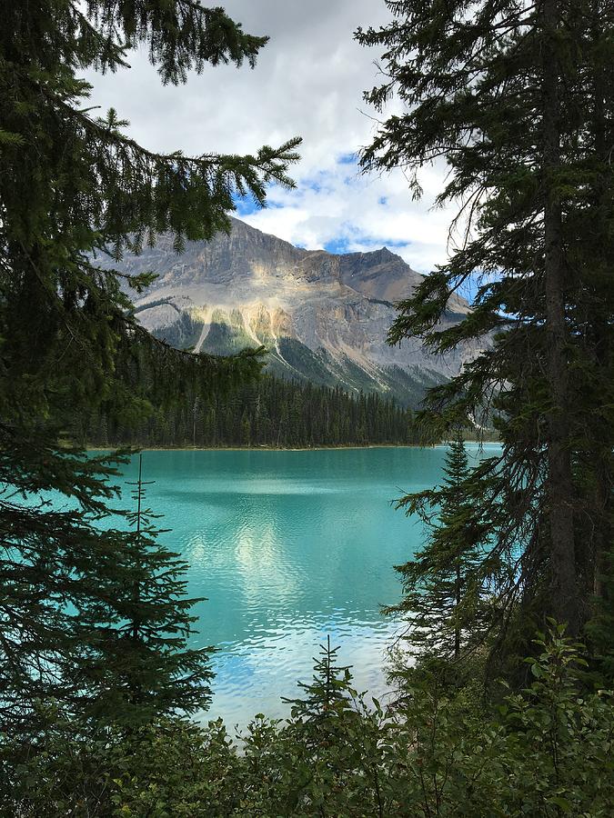 Sunset at Emerald Lake Photograph by Shellie Gordon - Fine Art America