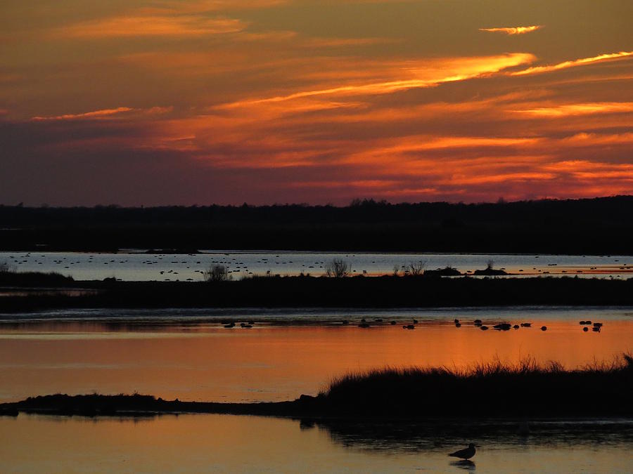 Sunset at Forsythe Reserve 2 Photograph by Melinda Saminski
