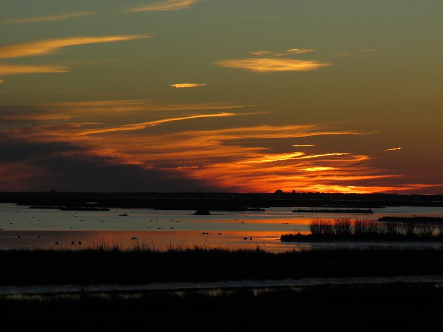 Sunset at Forsythe Reserve Photograph by Melinda Saminski