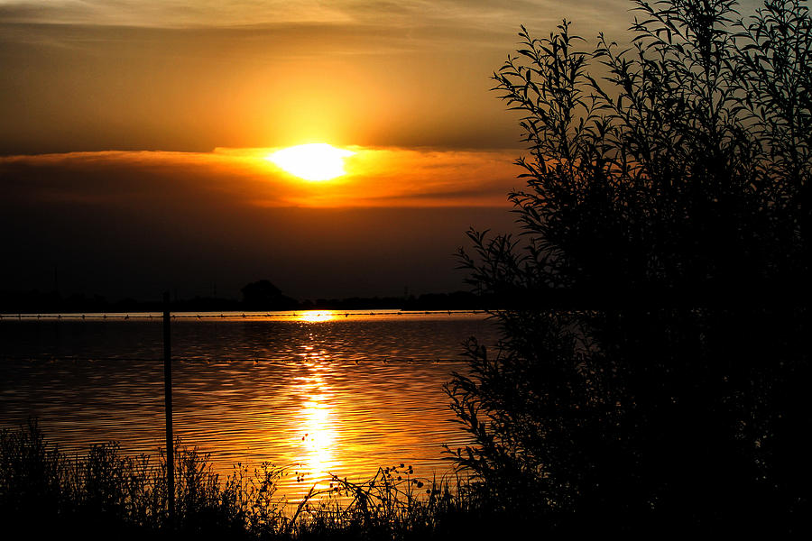 Sunset at Golden Pond Photograph by Juli Ellen
