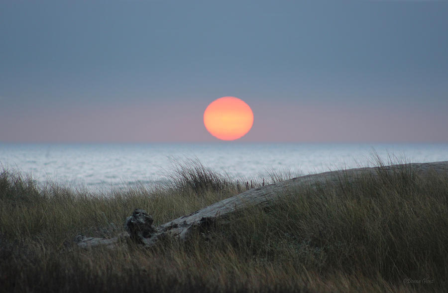 Sunset at Halfmoon Bay Photograph by Deana Glenz