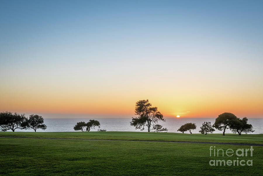 Sunset at Hilton La Jolla Torrey Pines Golf Course Photograph by David Levin