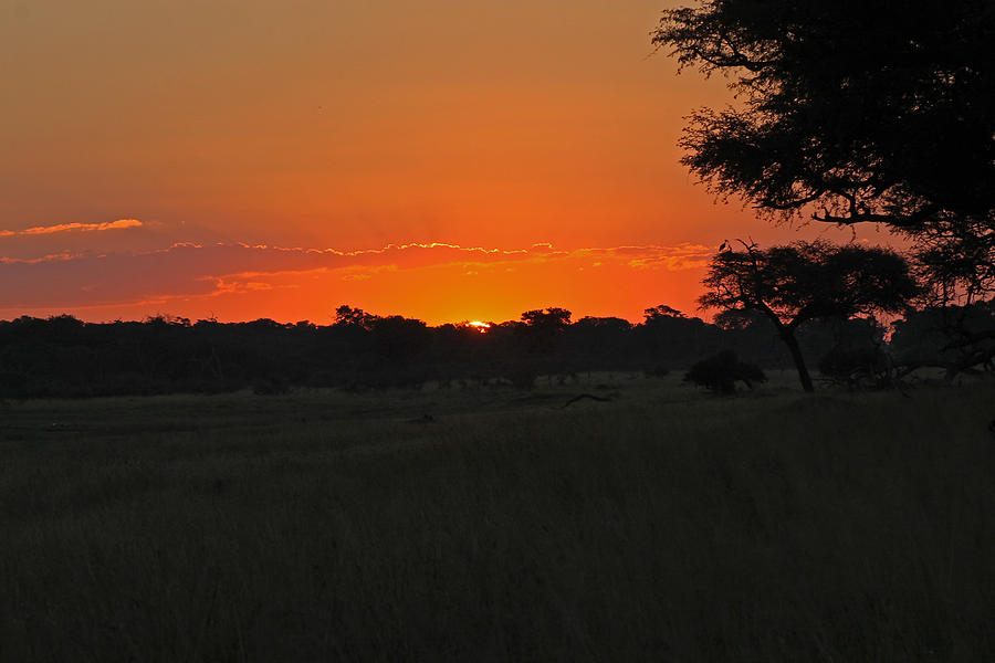Sunset at Hwange Photograph by Tony Murtagh