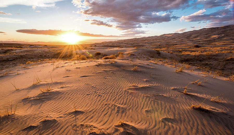 Sunset at Kelso Dunes Photograph by Eric Albright