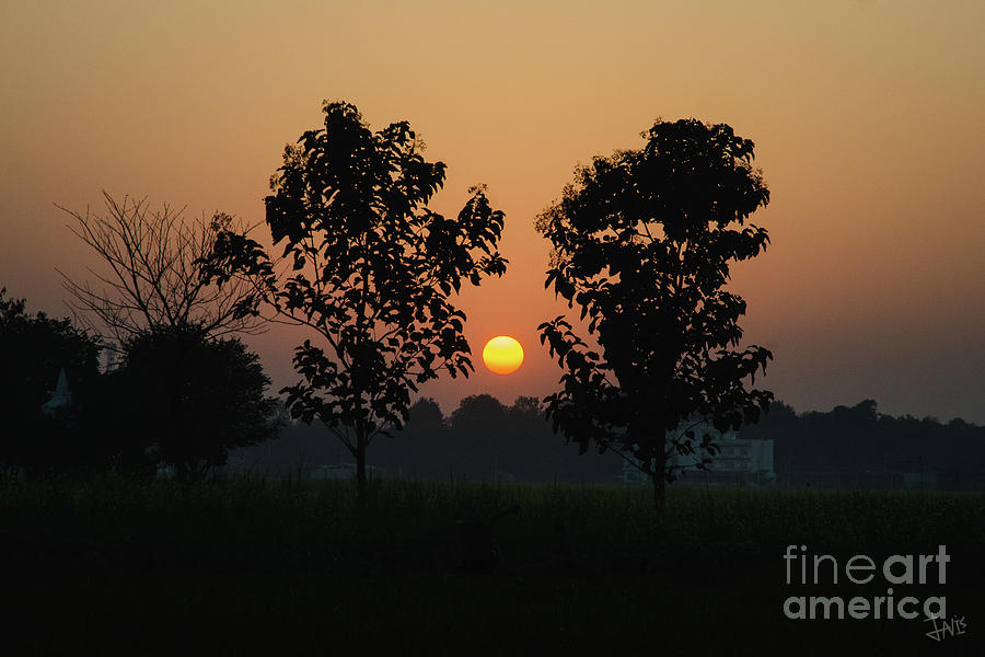 Sunset At Lumbini Photograph