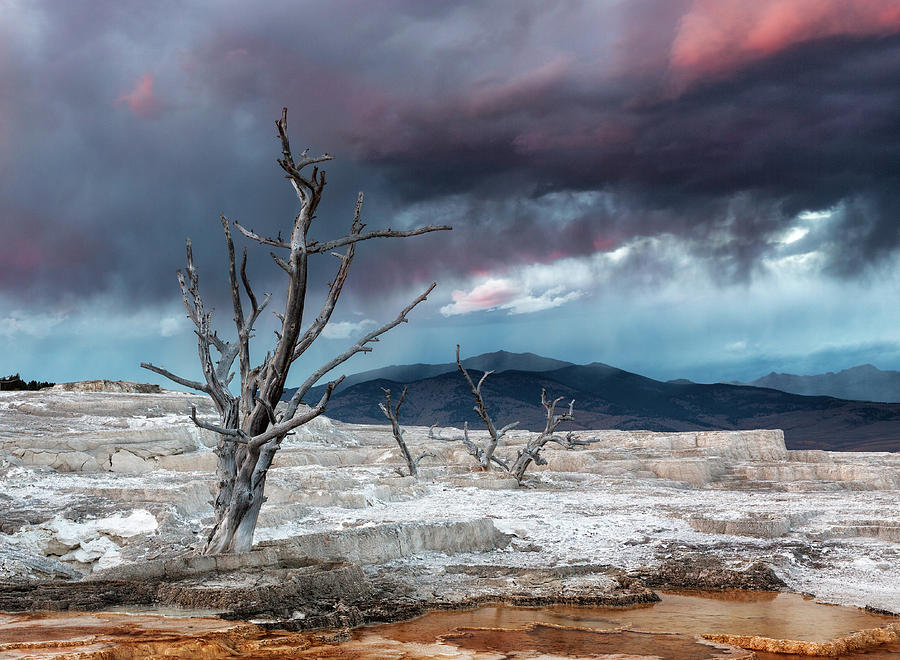 Sunset at Mammoth Hot Springs Photograph by Alex Mironyuk - Fine Art ...