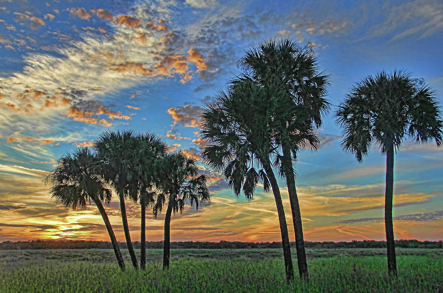 Sunset At Myakka Photograph By Hh Photography Of Florida Pixels