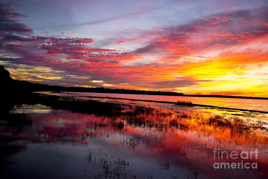 Sunset At Myakka River State Park, Florida Photograph by Felix Lai