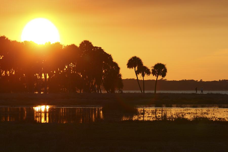 Sunset at Myakka River State Park in Florida, USA Photograph by Gary Corbett