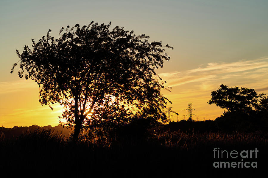 Sunset at nature preserve Photograph by Sam Rino