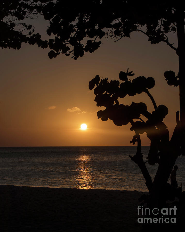 Sunset At Palm Beach Photograph by Judy Wolinsky
