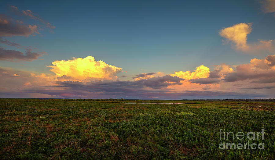 Sunset At Paynes Prairie Preserve State Park, Florida, Long Exposure, 2 ...