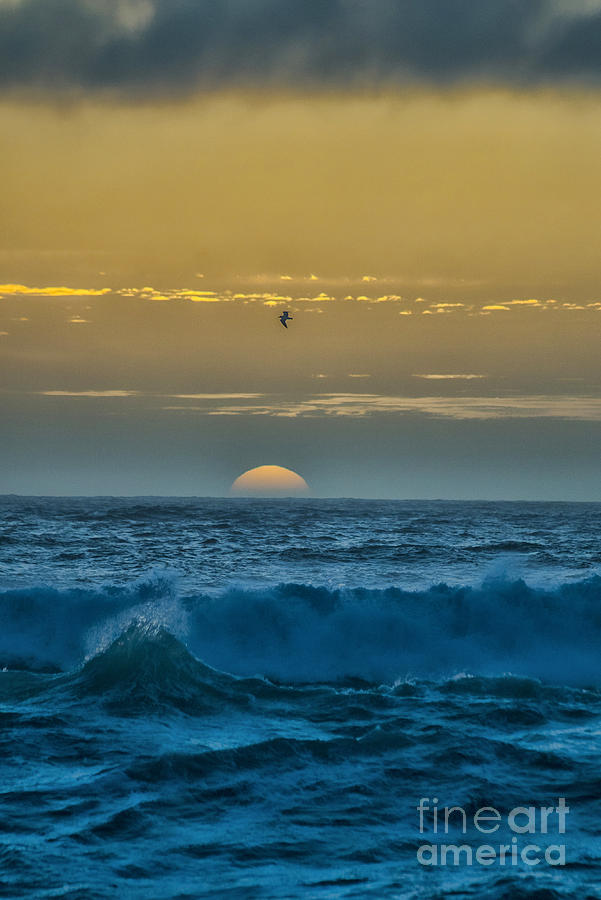 Sunset At Sea Photograph